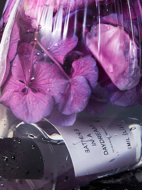 Bathing in a Daydream