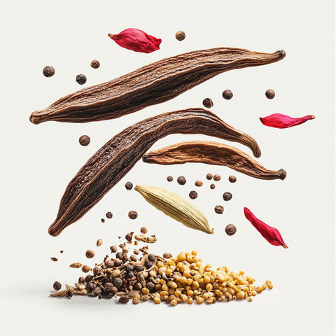 Eine künstlerische Darstellung der Duftnoten von Montale Dark Vanilla mit Vanilleschoten, rosa Pfeffer, Safran, Kardamom, Koriander, Mysore-Sandelholz, Leder, Oud, Patchouli, Ambra und Moschus auf hellem Hintergrund