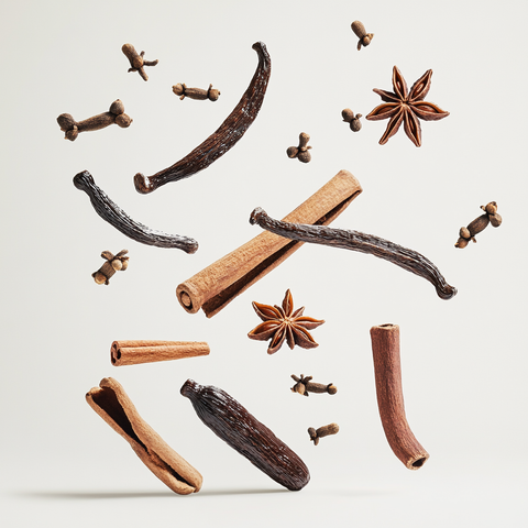 Eine künstlerische Darstellung der Duftnoten von Montale Vanille Absolu mit Vanilleschoten, Zimtstangen, Gewürznelken und holzigen Elementen auf hellem Hintergrund