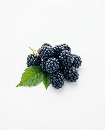 Brombeere