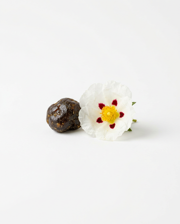Labdanum