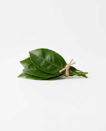 Petitgrain