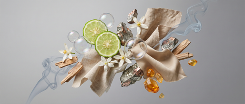 Unisex – Moderne Düfte für alle