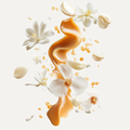 Eine künstlerische Darstellung der Duftnoten von Asabi № 3 Intense mit Karamell, Neroli, Bergamotte, Jasmin, Iris, Rose, Vanille und Moschus auf hellem Hintergrund