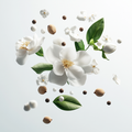 Eine künstlerische Darstellung der Duftnoten von Attar Collection Musk Kashmir mit weißen Moschuselementen, Sandelholzstücken, Gardenienblüten, Gewürznelken und weißen Pfefferkörnern auf hellem Hintergrund