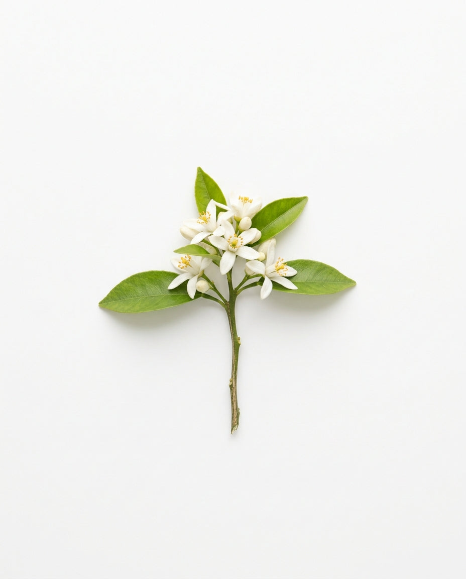Neroli