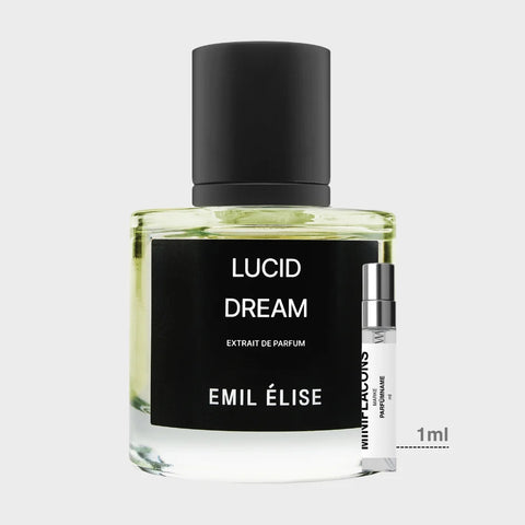 Lucid Dream